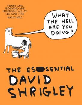 Скачать What The Hell Are You Doing?: The Essential David Shrigley - David  Shrigley