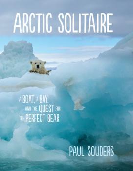 Скачать Arctic Solitaire - Paul Souders