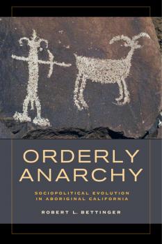 Скачать Orderly Anarchy - Robert L. Bettinger