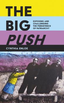 Скачать The Big Push - Cynthia Enloe