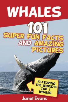 Скачать Whales: 101 Fun Facts & Amazing Pictures (Featuring The World's Top 7 Whales) - Janet Evans