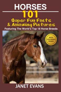 Скачать Horses: 101 Super Fun Facts and Amazing Pictures (Featuring The World's Top 18 Horse Breeds With Coloring Pages) - Janet Evans