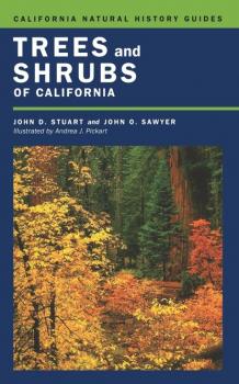 Скачать Trees and Shrubs of California - John O. Sawyer