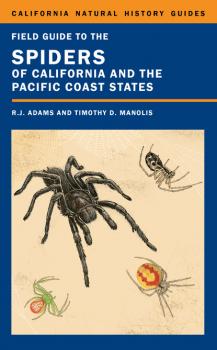 Скачать Field Guide to the Spiders of California and the Pacific Coast States - Richard J. Adams