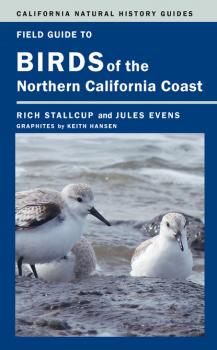 Скачать Field Guide to Birds of the Northern California Coast - Rich Stallcup