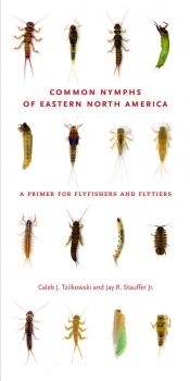 Скачать Common Nymphs of Eastern North America - Caleb J. Tzilkowski