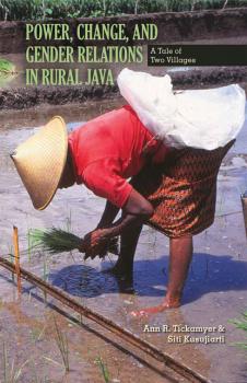 Скачать Power, Change, and Gender Relations in Rural Java - Ann R. Tickamyer
