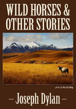Скачать Wild Horses and Other Stories - Joseph Dylan