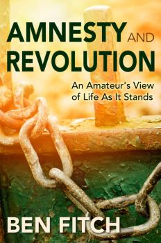 Скачать Amnesty and Revolution: An Amateur's View of Life As It Stands - Ben Fitch