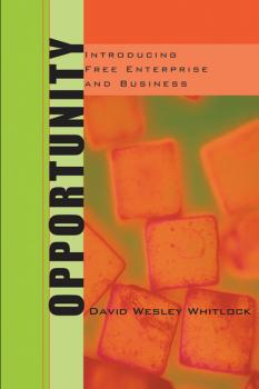 Скачать Opportunity - David W. Whitlock