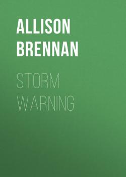 Скачать Storm Warning - Allison  Brennan