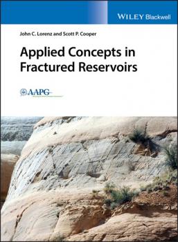 Скачать Applied Concepts in Fractured Reservoirs - John C. Lorenz