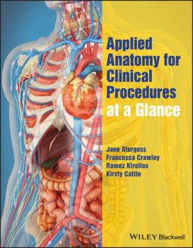 Скачать Applied Anatomy for Clinical Procedures at a Glance - Jane Sturgess