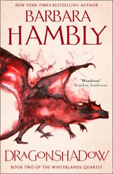 Скачать Dragonshadow - Barbara Hambly