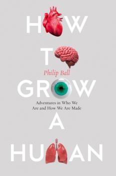 Скачать How to Grow a Human - Philip  Ball