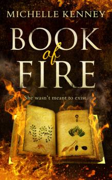 Скачать Book of Fire - Michelle Kenney