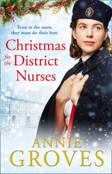 Скачать Christmas for the District Nurses - Annie Groves
