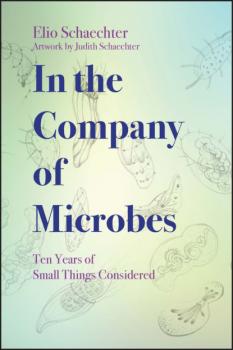 Скачать In the Company of Microbes - Moselio  Schaechter