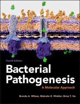 Скачать Bacterial Pathogenesis - Brenda A.  Wilson