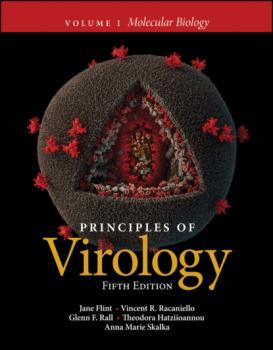 Скачать Principles of Virology, Volume 1 - Jane Flint