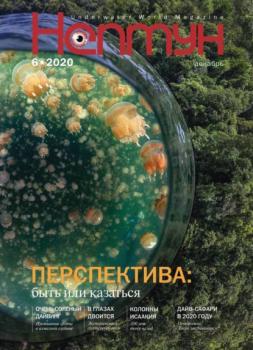 Скачать Нептун №6/2020 - Группа авторов