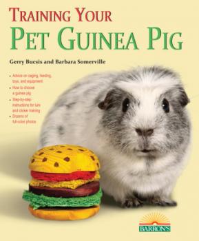 Скачать Training Your Guinea Pig - Gerry Bucsis