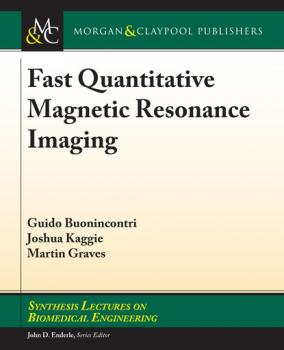 Скачать Fast Quantitative Magnetic Resonance Imaging - Martin Graves