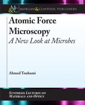 Скачать Atomic Force Microscopy - Ahmed Touhami
