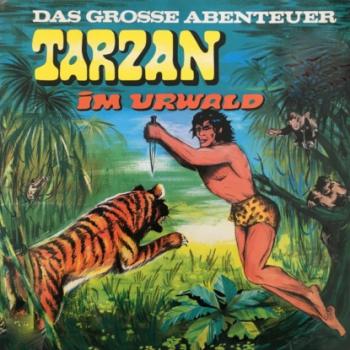 Скачать Tarzan - Das große Abenteuer, Folge 1: Tarzan im Urwald - Anke Beckert