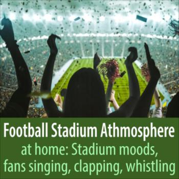 Скачать Football Stadium Athmosphere at Home: Stadium Moods, Fans Singing, Clapping, Whistling - Todster