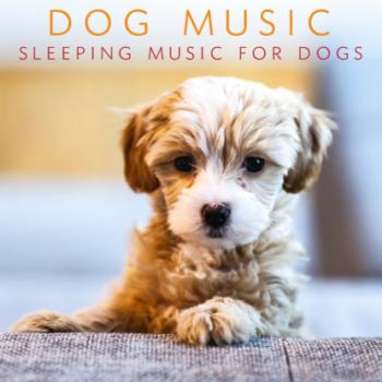 Скачать Dog Music - Sleeping Music For Dogs (Music For Dog's Ears, Pet Relaxation Music) - Pet Jones