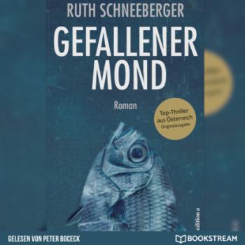 Скачать Gefallener Mond - Roman (Ungekürzt) - Ruth Schneeberger
