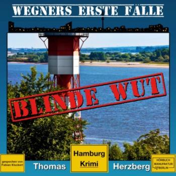 Скачать Blinde Wut - Wegners erste Fälle - Hamburg Krimi, Band 3 (ungekürzt) - Thomas Herzberg