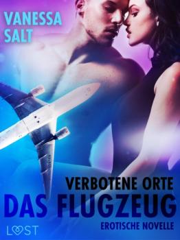 Скачать Verbotene Orte: Das Flugzeug - Erotische Novelle - Vanessa Salt