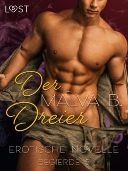Скачать Begierde 5 - Der Dreier: Erotische Novelle - Malva B.