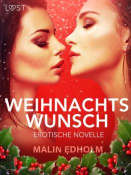 Скачать Weihnachtswunsch: Erotische Novelle - Malin Edholm