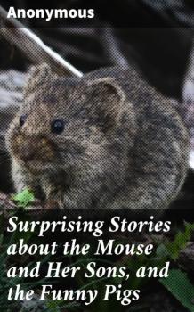 Скачать Surprising Stories about the Mouse and Her Sons, and the Funny Pigs - Unknown