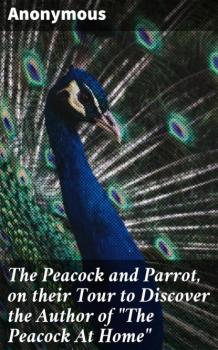 Скачать The Peacock and Parrot, on their Tour to Discover the Author of 