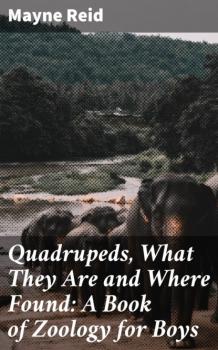 Скачать Quadrupeds, What They Are and Where Found: A Book of Zoology for Boys - Майн Рид