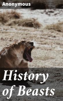 Скачать History of Beasts - Unknown
