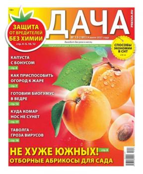 Скачать Дача Pressa.ru 13-2021 - Редакция газеты Дача Pressa.ru