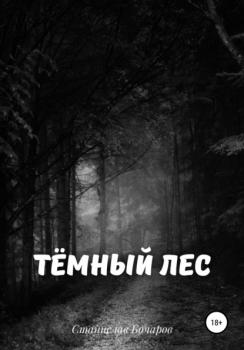 Скачать Тёмный лес - Станислав Бочаров