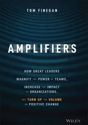 Amplifiers - Tom Finegan 