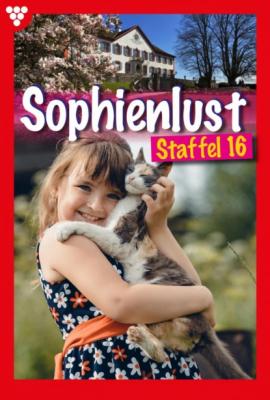 Sophienlust Staffel 16 – Familienroman - Marisa Frank Sophienlust