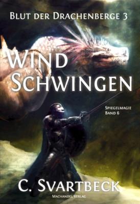 Windschwingen - Chris Svartbeck Spiegelmagie