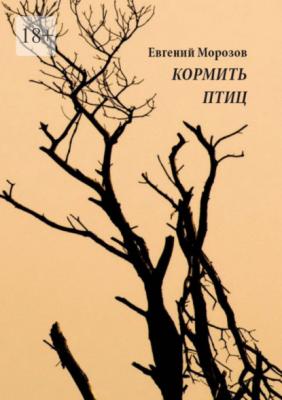 Кормить птиц - Евгений Морозов 