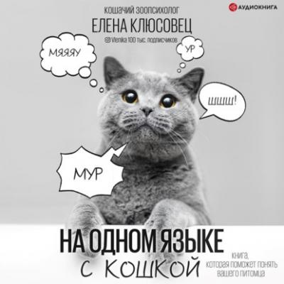 На одном языке с кошкой - Елена Клюсовец Звезда инстаграма