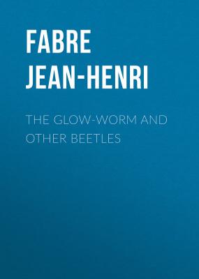 The Glow-Worm and Other Beetles - Fabre Jean-Henri 