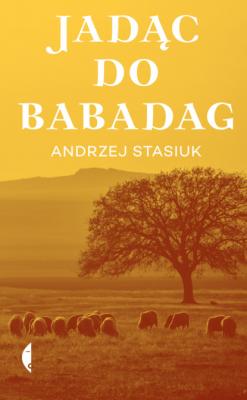 Jadąc do Babadag - Andrzej  Stasiuk Poza serią