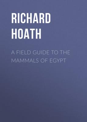 A Field Guide to the Mammals of Egypt - Richard Hoath 